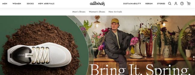 Allbirds is a shoe brand based in the USA. They started by selling only through their online store.